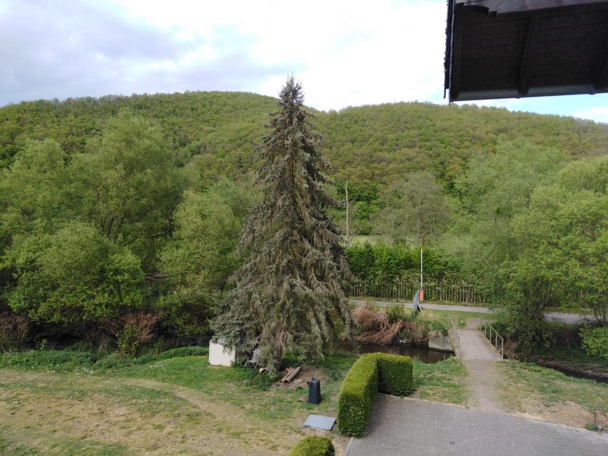 Zimmer Ohne Fruehstueck In Der Forellenzucht بورجين المظهر الخارجي الصورة